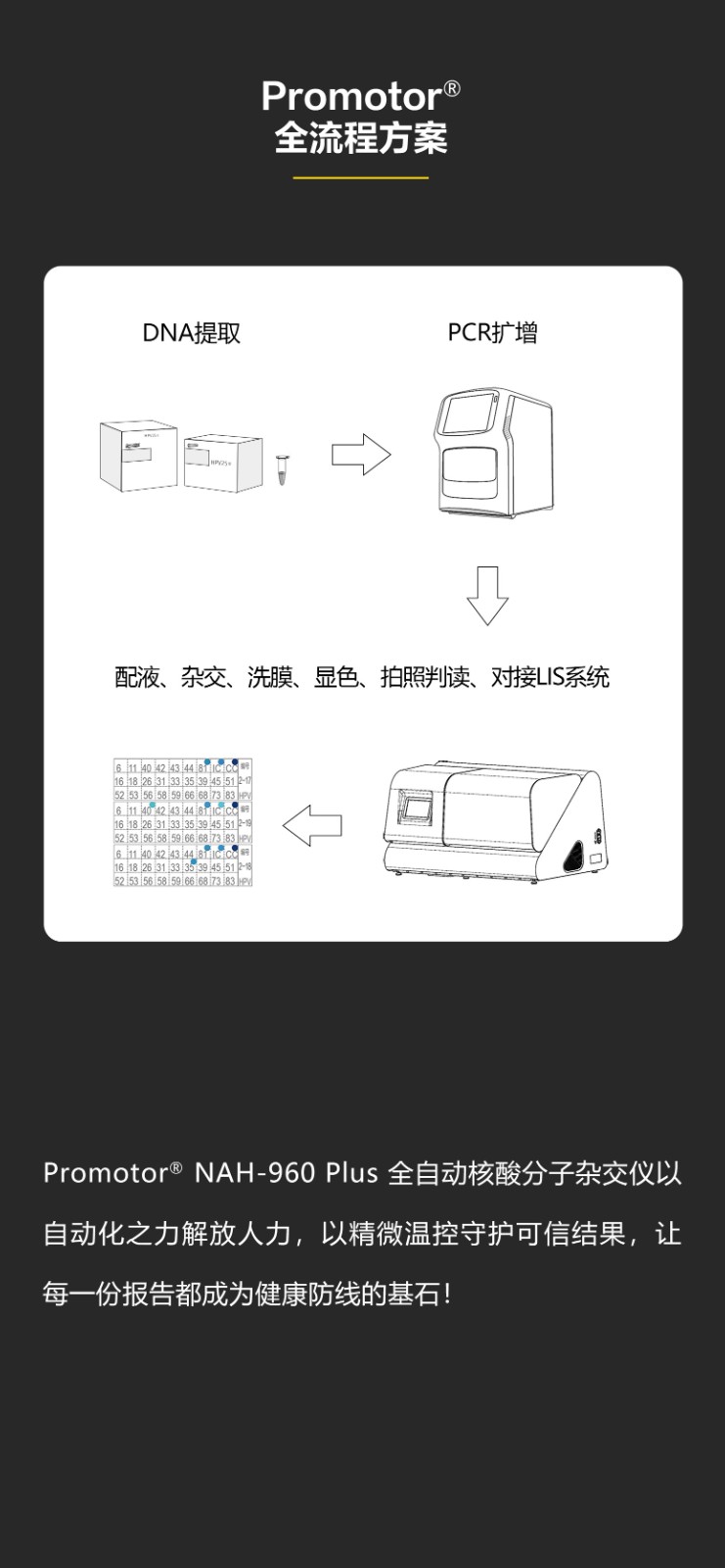 全自动核酸分子杂交仪960_08.jpg